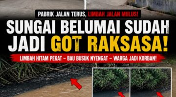 DLH Diduga Tutup Mata, Sungai Belumai Tercemar Limbah Industri, Warga Minta Bupati Jangan Hanya Sibuk Pencitraan