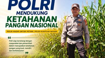 Polri Hadir Untuk Ketahanan Pangan, BRIPKA Muhammad Yusuf Tinjau Langsung Hasil Pertanian Jagung Pipil Masyarakat Panipahan