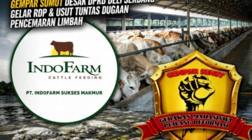 Petani Menangis, 25 Ton Ikan Musnah! GEMPAR SUMUT Dorong RDP Bongkar Misteri Limbah Di Deli Serdang